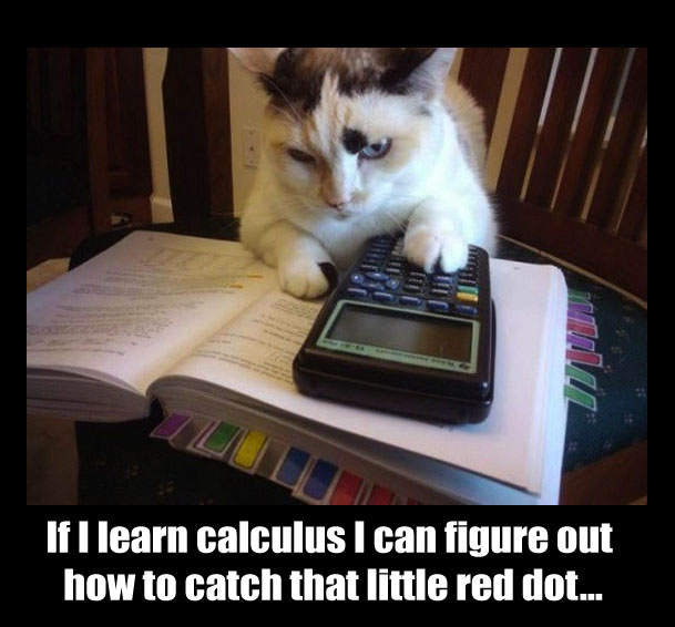 Funny Pictures Joke If I learn calculus I can figure out how to catch